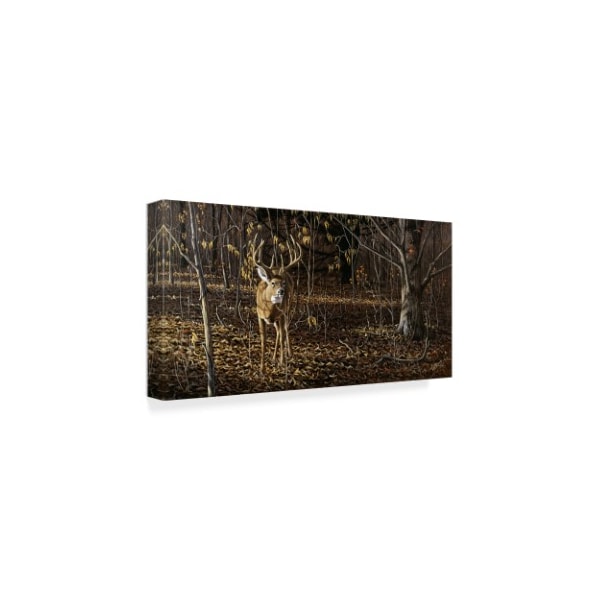 Wilhelm Goebel 'Sneaking Through Whitetail' Canvas Art,10x19